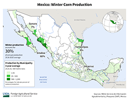 images\MX\seasonalmap\Mexico_Winter_Corn_preview.png